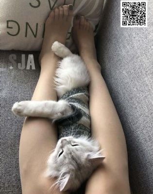 熊出没之古宅探宝_高清电影大全在线