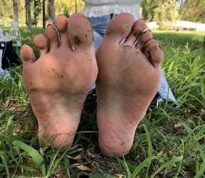 异世界流浪美食家第二季_高清蓝光在线观看
