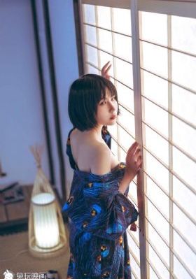 麻豆视频免费在线观看_DVD在线播放
